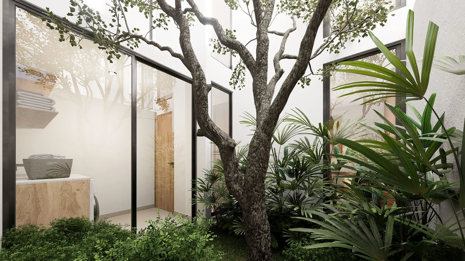 Concepto Terra — patio interior
